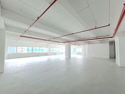 Perfect One (D13), Factory #530019391
